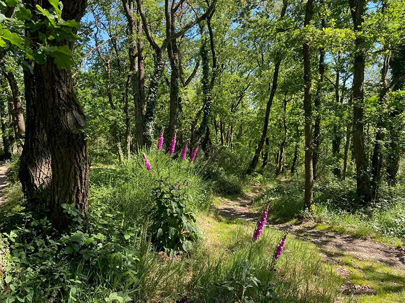 Un espace de coworking en pleine nature à Angers